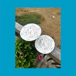 2 Vintage 1988 Country Classics Collection by Action Salad Plates 7.5”